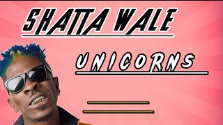 Shatta wale - Unicorns Lyrics video (official)