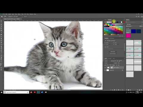1 Setup Account Download ADOBE CREATIVE CLOUD ADOBE PHOTOSHOP PROFESSIONAL EDITING COURSE