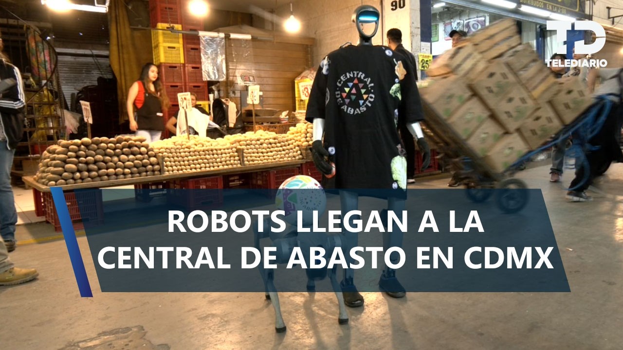 Con mandil y sombrero, robot recorre Central de Abasto; "a poco sí muy acá", reaccionan comerciantes