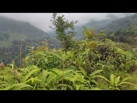 shindhupalchok jugal 6