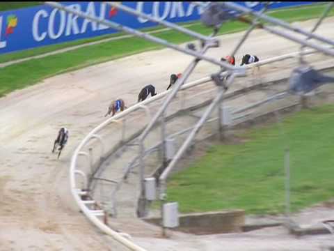 2017 CORAL MARATHON - T6 CLARES KYLETAUN