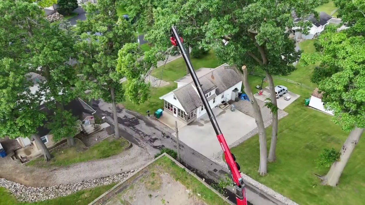 Effortless Tree Removal with Grapple Saw Crane | Brawner's Tree Service Smooth & Precise Operatio