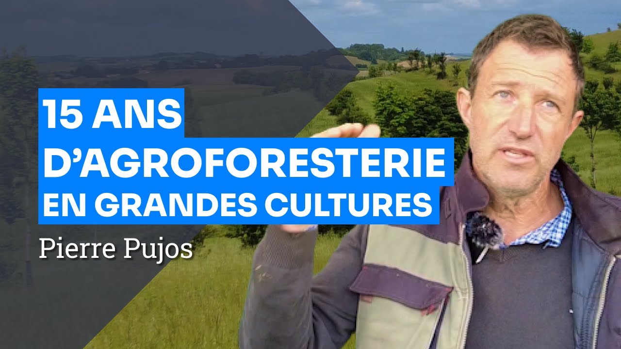 Agroforesterie dans le Gers : réduire l'érosion et augmenter la biodiversité, Pierre Pujos
