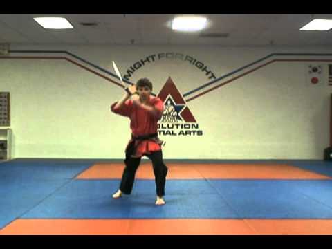 Evolution Martial Arts Intro