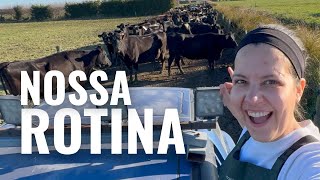 COMO É TRABALHAR EM UMA FAZENDA DE VACAS NA NOVA ZELÂNDIA 🇳🇿