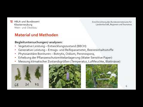 HBLAuBA Klosterneuburg - Forschungstag Weinbau 2023 | Vortrag Dipl.-Ing. Florian Faber