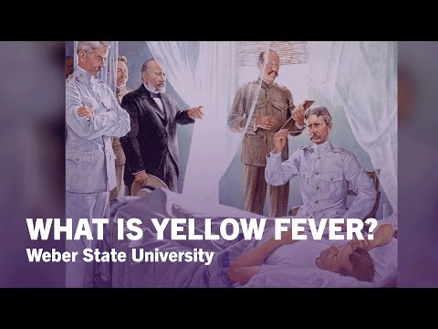 What is Yellow Fever? - Weber State University