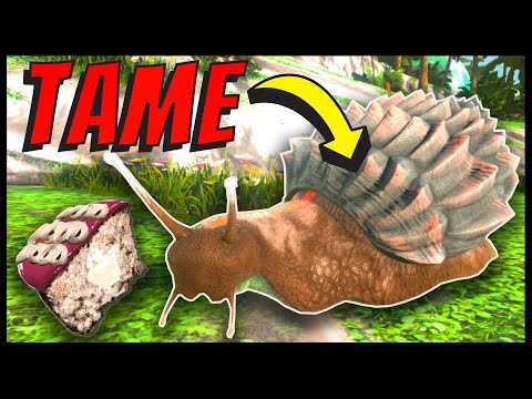 Ark Achatina Taming and Making a Sweet Vegetable Cake Ark
