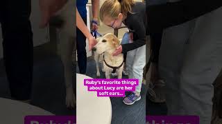 Doggie brigade member Lucy gives Ruby a helping paw