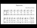 Трисвятое КПЛ 