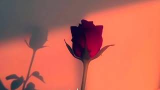 Download lagu STORY WA))ASTRID~TENTANG RASA 2020 mp3