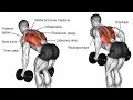 Clarifying Isolation vs Accessory Lifts