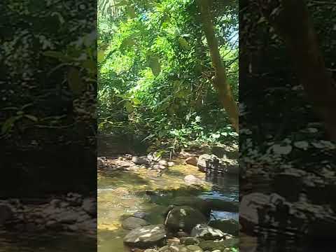 Arataca Bahia ❤️❤️😍😍