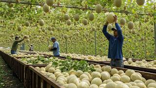 Mais De 30 Colheitas Impressionantes Que Você Teve A Sorte De Ver — Agricultura Em Escala Gigante