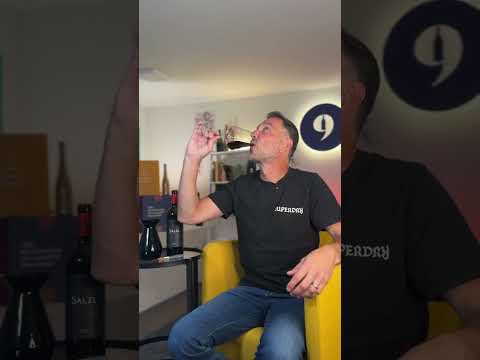 Verkostungsvideo: Merlot Reserve 2022 Salzl