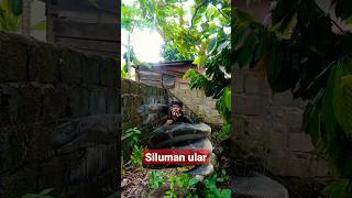 Download lagu 🔴kake di lilit ular parodi filem misteri dua dunia mp3