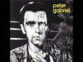 Peter Gabriel ~ 