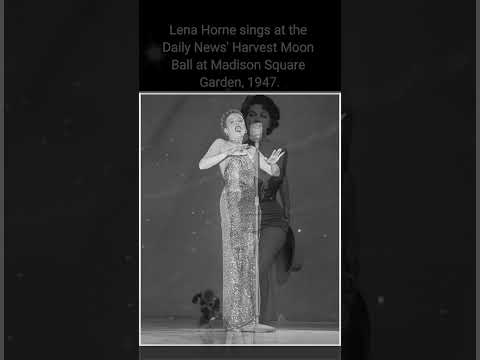 Traces of the Past, Unearthing Captivating Rare Historic Photographs