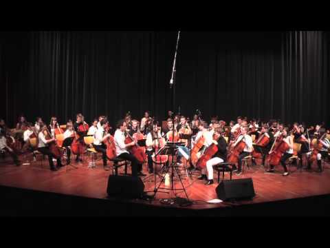 Celloversum 2015 Querschnitt - RMS Cello Big Band & Cello Combo