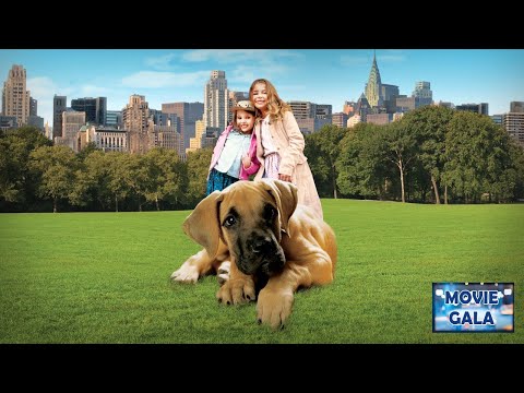 Chestnut | Hero of Central Park