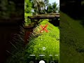 Creative Photography Tips and Trick with Phone using pro Mode  | Mobile Photography Hacks