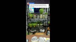 How to Grow Food Fast