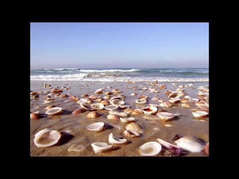 Hofim by Nachun Heiman sung by Yoram Chaiter חופים נחום היימן