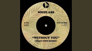 Without You (Sean Finn Remix)