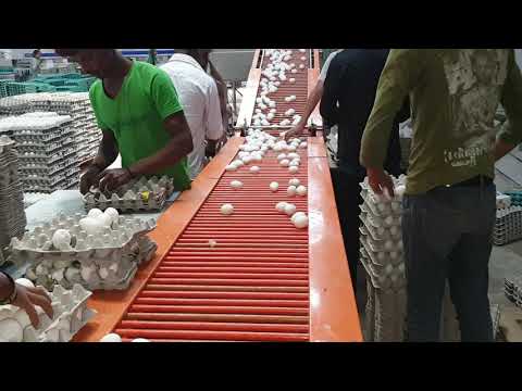 Conveyor Rollers videos