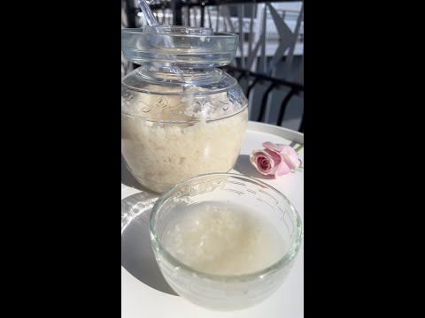 Homemade sweet fermented rice wine 🍶 3 ingredients: sweet rice, yeast, and water
