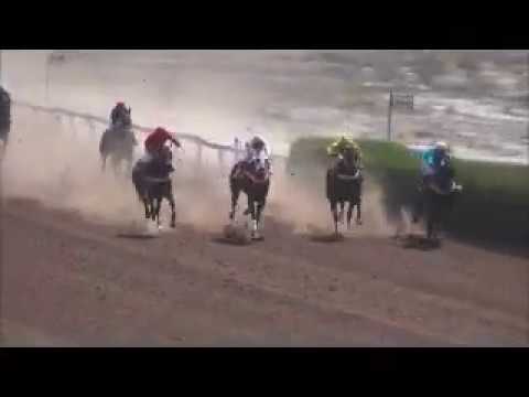 Ganador Tango mistel-carrera Nº10