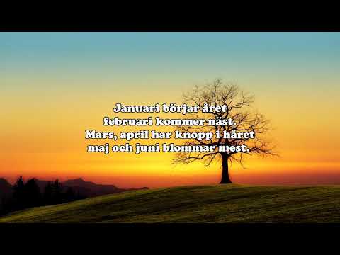 Januari börjar året