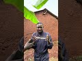 Ayatul Kursi By African Revert Quran Charpter 2