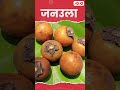 जनउला Annu Mam Competition Community Chhattisgarhi