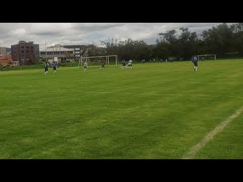 Polvo de gallo 2 goles en 2 minutos
