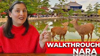Japan's Forgotten Capital: Nara's Temples, History &amp; Best Street Eats