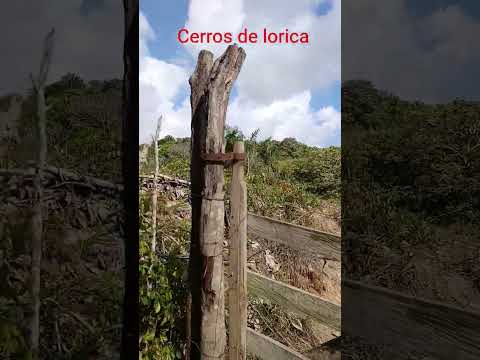 cerros de lorica vía a san Bernardo del viento 🏍️