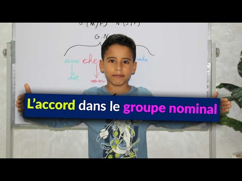L'accord dans le groupe nominal