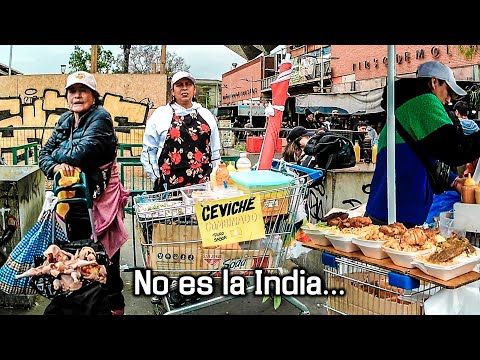 Del Metro Cal y Canto a la Vega Central: LA RUTA TÓXICA | Santiago de Chile