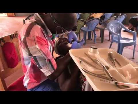 download lagu mp3 mp4 Indigenous Dental Health Bones, download lagu Indigenous Dental Health Bones gratis, unduh video klip Indigenous Dental Health Bones