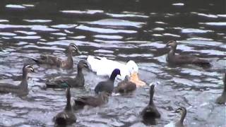 Meet Me in the Middle