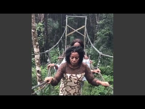 Video thumbnail for Rainforest