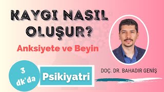 KAYGI NASIL OLUŞUR? - ANKSİYETE NASIL OLUŞUR? - KAYGI VE BEYİN - ANKSİYETE VE BEYİN
