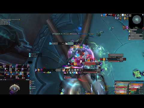 Omnicide x The Nine - Shadow priest pov