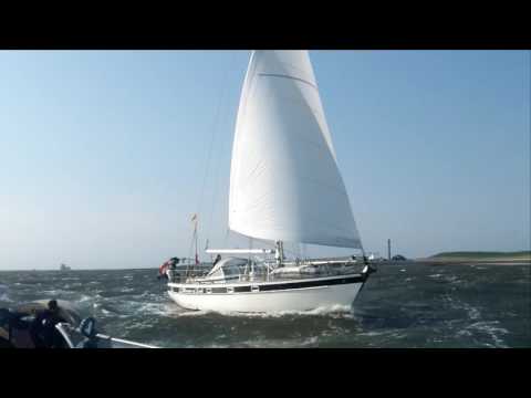Morgane of Sark Nice sailing near Flushing - Hallberg Rassy 42