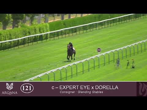 2022 Breeze Up - Lot 121 c. EXPERT EYE x DORELLA