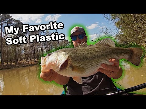 Catching BIG BASS on Texas Rig! (The Best Soft Plastic Lure)
