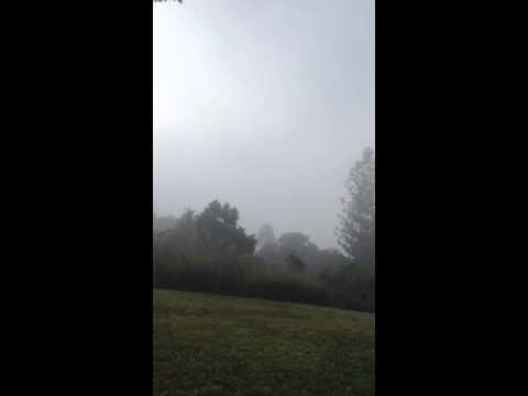 Seeds of hope chapter 1 part 2