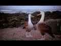 Galapagos Narrated By Jeff Corwin Official Generic 2D Version