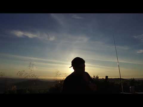 Forbia (LIVE) - video preview